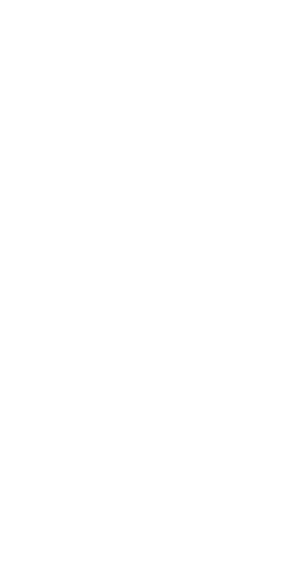 Shape Image